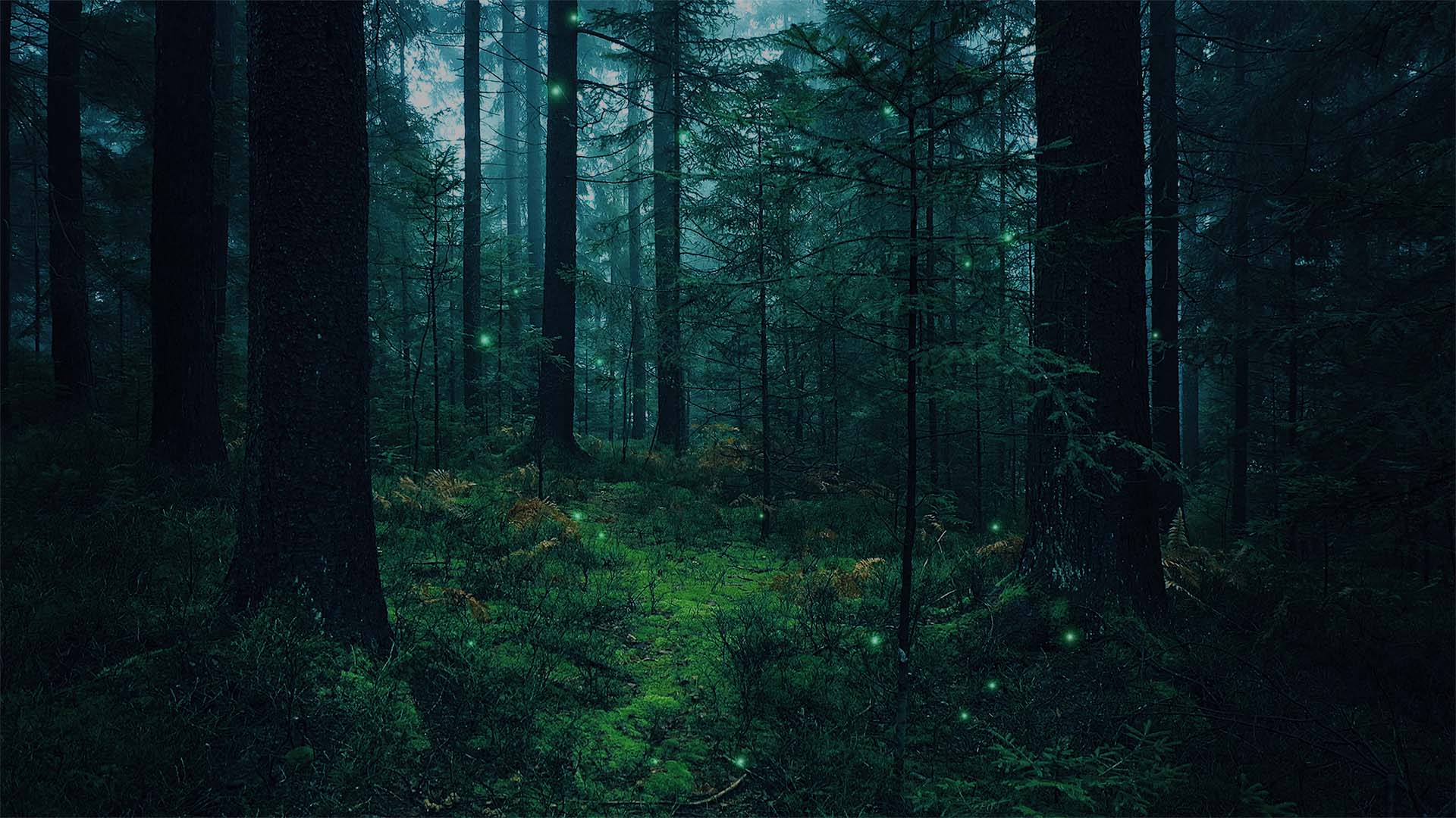 hidden